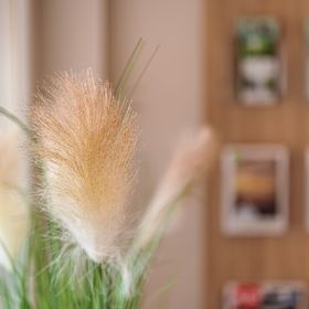 Rácz Vendégház Sopron