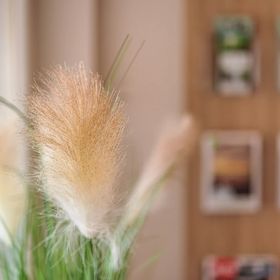 Rácz Vendégház Sopron