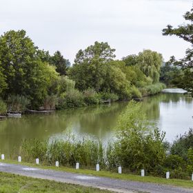 Pampuska Apartman Gyomaendrőd