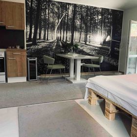 Wonderful Village studio with terrace Rakvice