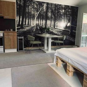 Wonderful Village studio with terrace Rakvice