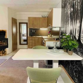 Wonderful Village studio with terrace Rakvice