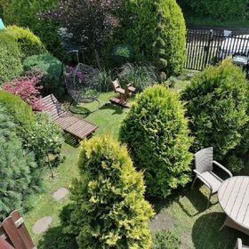 Domki Cyprys Ostrowo Kolonia