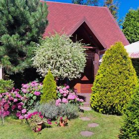 Domki Cyprys Ostrowo Kolonia