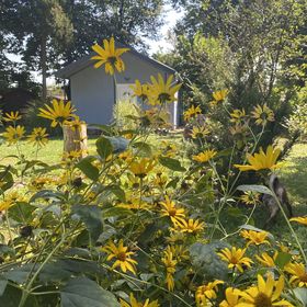 Ritzkeve Vendégház Ráckeve