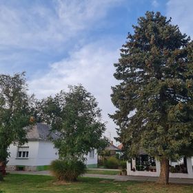 Dupla Espresso Pihenő Birtok Vajszló