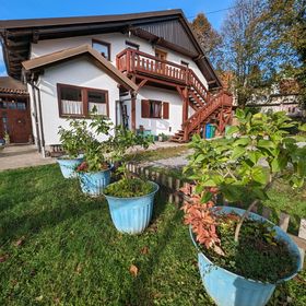 Apartmani Ernestova Hiša Lokve