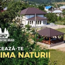 Casa Dintre Brazi Nemțișor