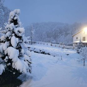 Cabana Casa de pe Vale Vulcan