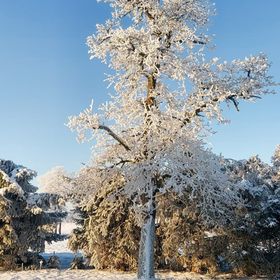 Gospodarstwo Agroturystyczne Kraina Choszcza