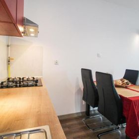 Apartament Lublin Stare Miasto „Wild Cat II”