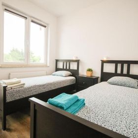 Apartament Lublin Stare Miasto „Wild Cat II”
