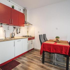 Apartament Lublin Stare Miasto „Wild Cat II”