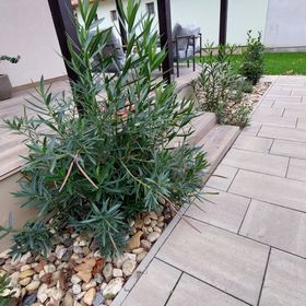 Vadaskert Apartman Gyula