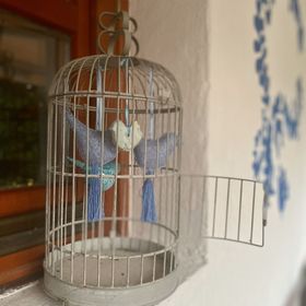 Kékmadaras Apartman Tihany