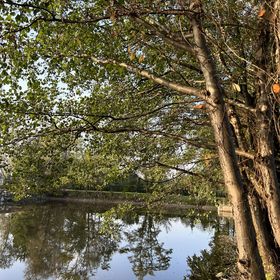 Eldorado Country Club Tomice