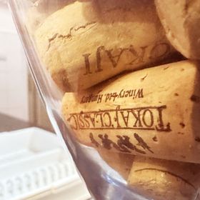 Csucsu Vendégház Mád