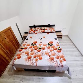 Casa Delia Băile Herculane