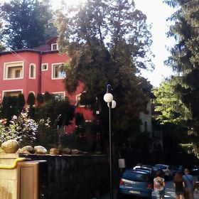 Vila Rosa Băile Olănești