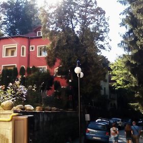 Vila Rosa Băile Olănești