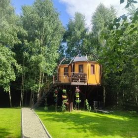 Piece of Heaven Treehouse Râșnov