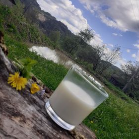 Rural Romanian Camping Roșia Montană