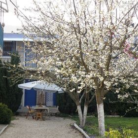 Pensiunea Tourist Paradis Costinești