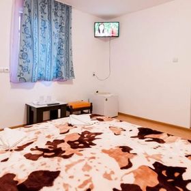 Vila Mary Elena Vama Veche