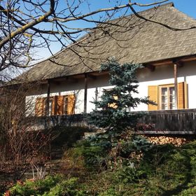 Casa Pintea-Bucovina