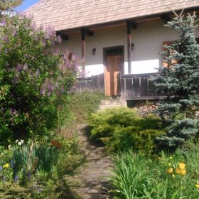 Casa Pintea-Bucovina