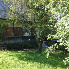 Casa Pintea-Bucovina