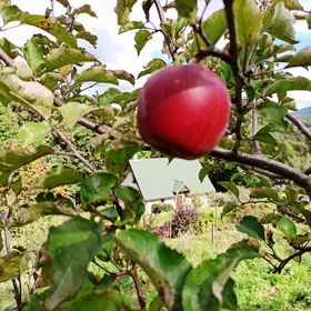 Dom Całoroczny Wesoła Chmura Kletno