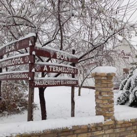 Beck Pince Apartman Hajós