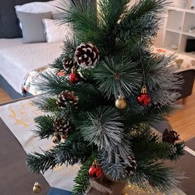 Jelena Apartman Szeged