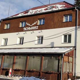 Hotel SCHWARZ Nové Hamry