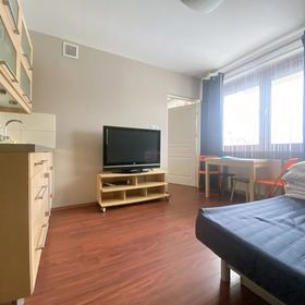 ABA Apartament TATRA Krynica-Zdrój