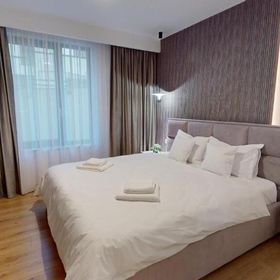 Quiet Luxury Home - home & office & car charging Zalău