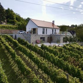 Rábai Katalin Borászat És Vendégház Neszmély