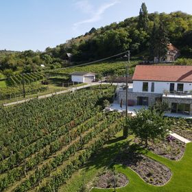 Rábai Katalin Borászat És Vendégház Neszmély