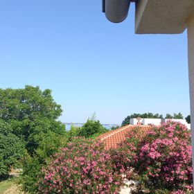 Apartman Privlaka - CDI591