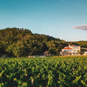 Vendégház Buje - Buie - CLS094