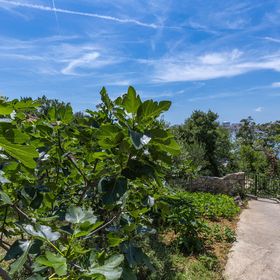 Apartman Omišalj - CKI569