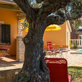 Vendégház Poreč - Parenzo - CLI950