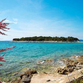 Vendégház Šibenik - CLD636