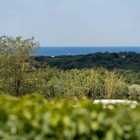 Apartman Tar - CLT184