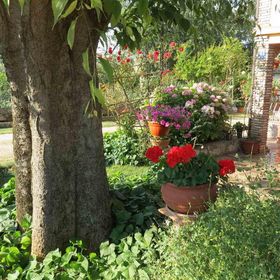 Apartman Tar - CLS709