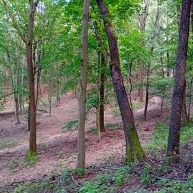 Tilia Ház Salgótarján