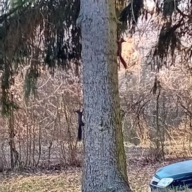 Tilia Ház Salgótarján