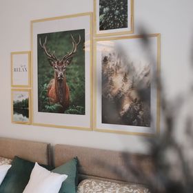 Apartament POD LASEM Jedlina Zdrój