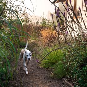 Sielankownia Radków